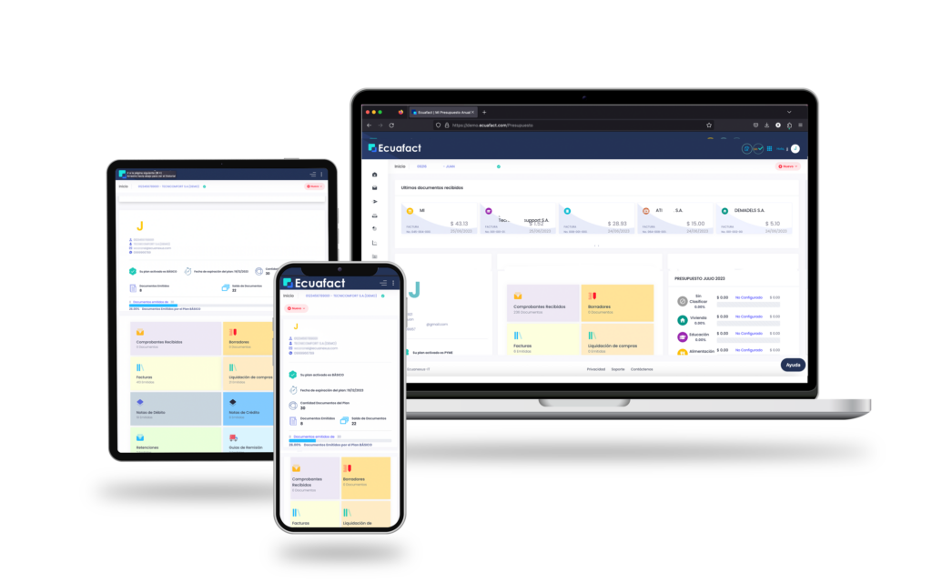 Panel principal del software Ecuafact